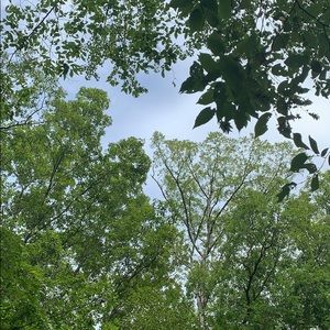 Meet your Posher, Sam